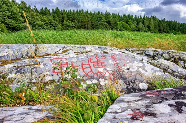 Partial section of the Bronze Age rock carvings