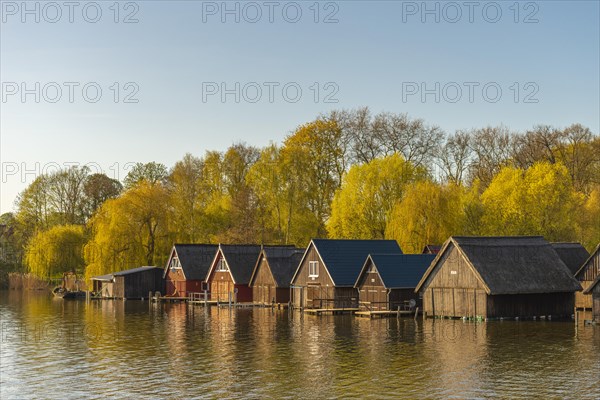 Roebel an der Mueritz resort