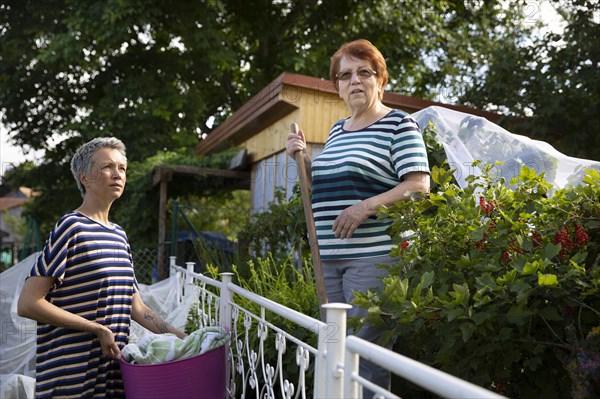 Neighbourhood. Women at the garden fence are talking to each other.