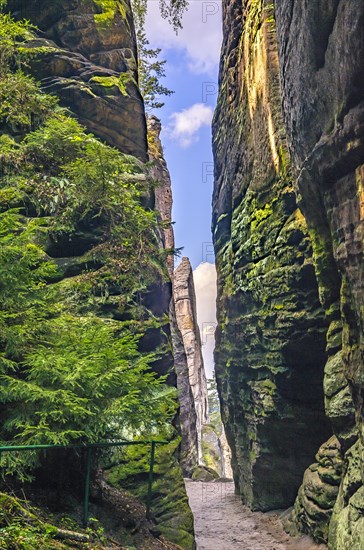 Hiking trail in the Prachovske Skaly