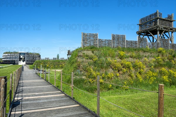 Alise-Sainte-Reine. Cotre d'Or