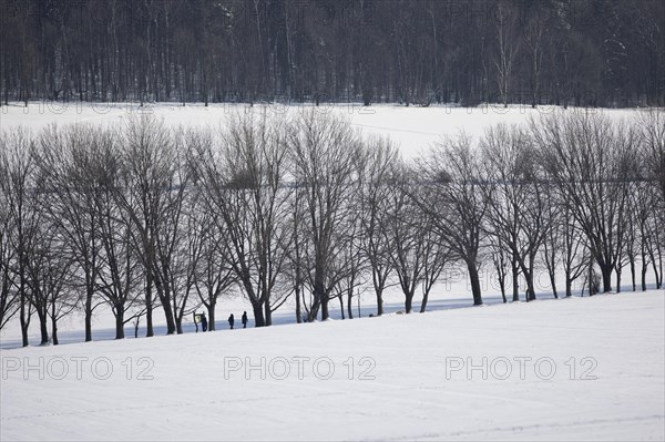 Walkers in the snow