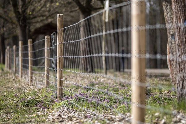 Protective fence against the spread of African swine fever