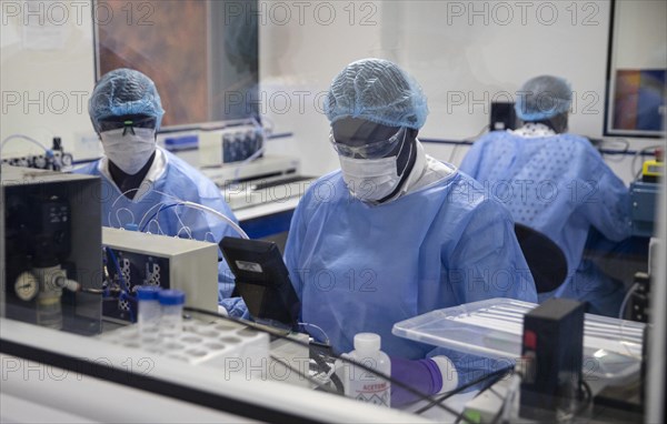 Production of antigen tests at the Institut Pasteur for Senegal