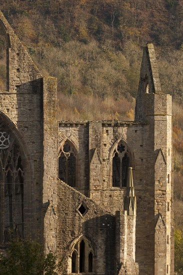 Ruins of Tintern Abbey in Tintern