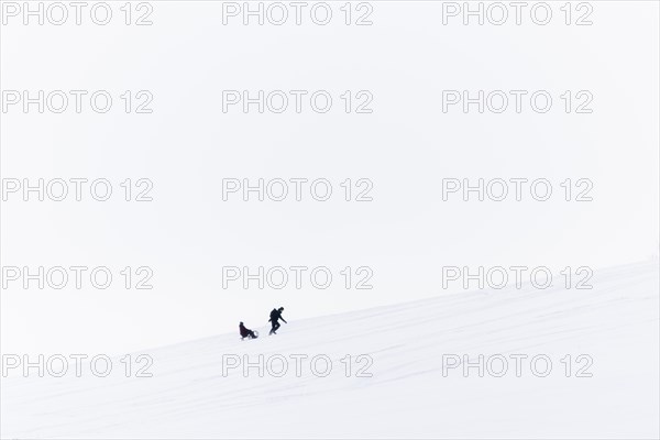 People on a toboggan slope in Koenigshain