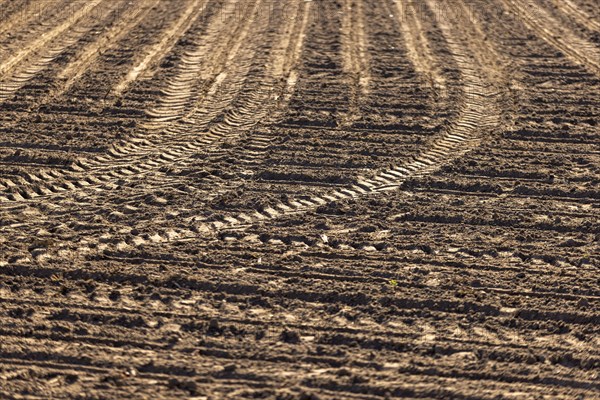 Tractor tracks in a field
