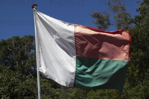 Flag of the Republic of Madagascar