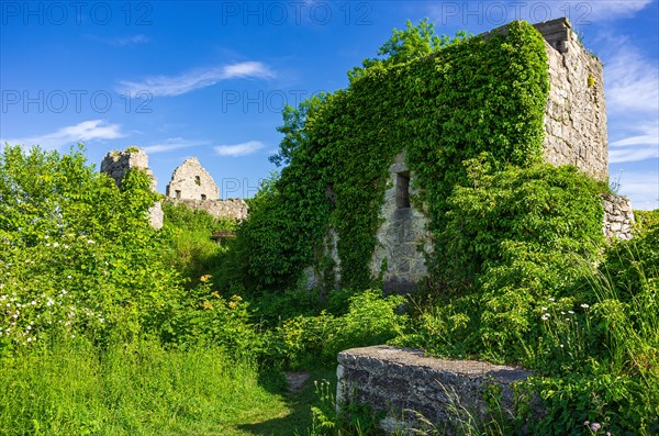 Ruin of the medieval Hohenurach Castle