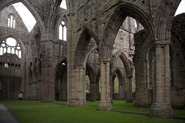 Ruins of Tintern Abbey in Tintern