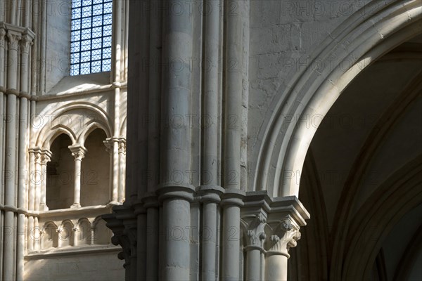 Vezelay labelled les Plus Beaux Villages de France. Columns lit by the rays of the sun. Basilica St Mary Magdalene.Unesco World heritage. Morvan regional natural park. Via Lemovicensis way to Santiago de Compostela. Yonne department. Bourgogne Franche Comte. France