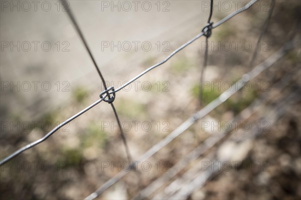 Protective fence against the spread of African swine fever