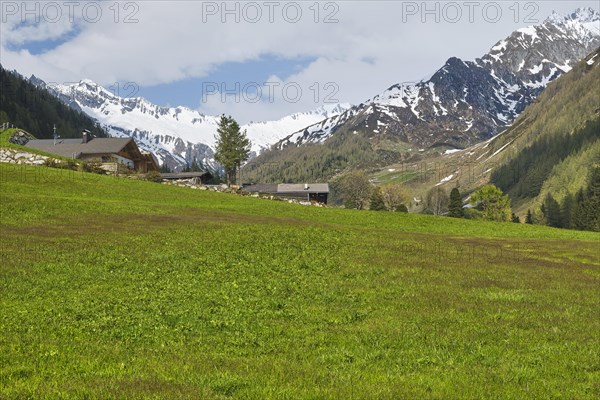 Snowy Krimmler Tauern and Zillertal Alps