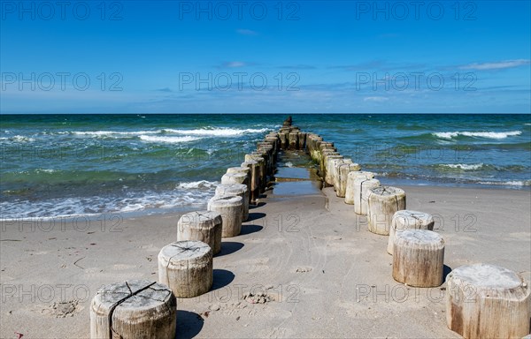 Buhne am Strand von Ahrenshoop