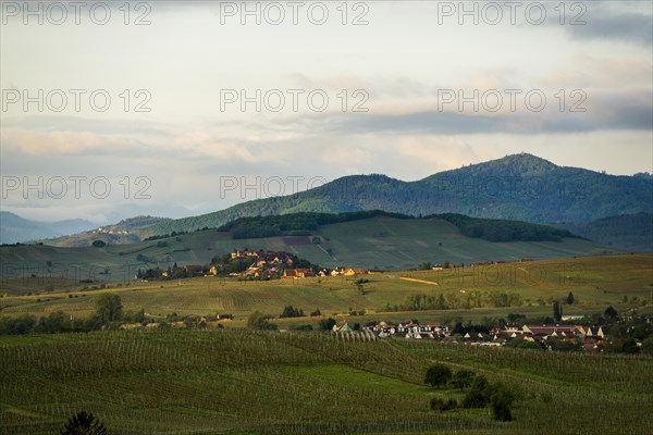 Medieval village in the vineyards