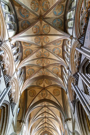 Vaulted ceiling roof inside cathedral church