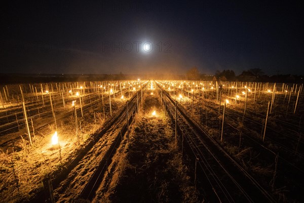 Fires loom on the vineyard of Wackerbarth Castle in Weinboehla