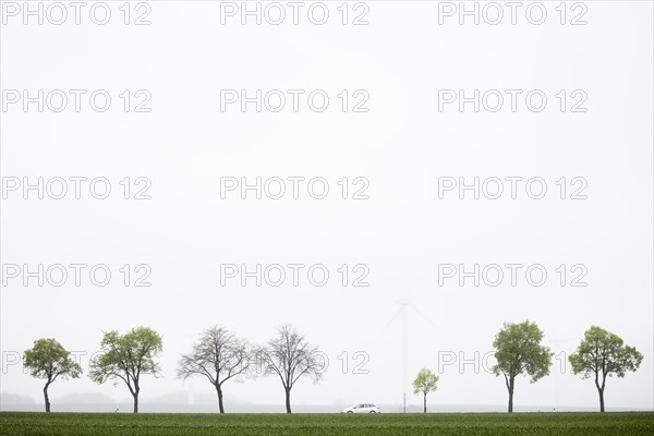 A car is silhouetted against wind turbines on a country road in Vierkirchen