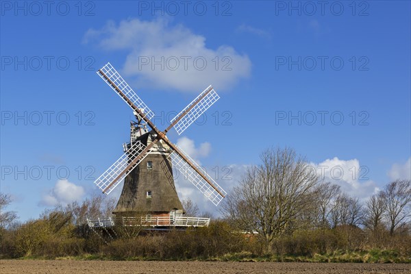 Windmill in Oldsum on the island of Foehr in the district of Nordfriesland