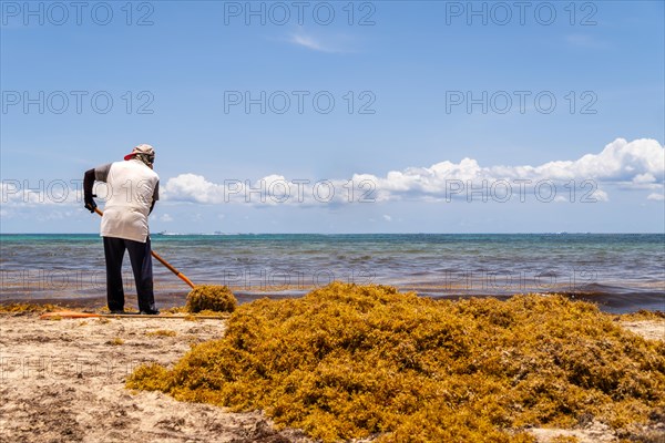 Worker cleaning dirty sandy beach of