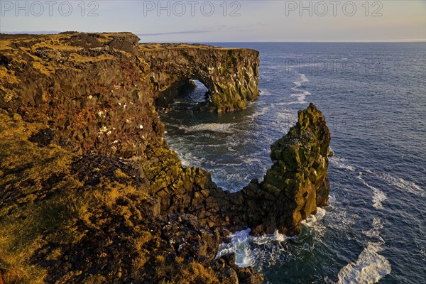 Coastal landscape with escarpment