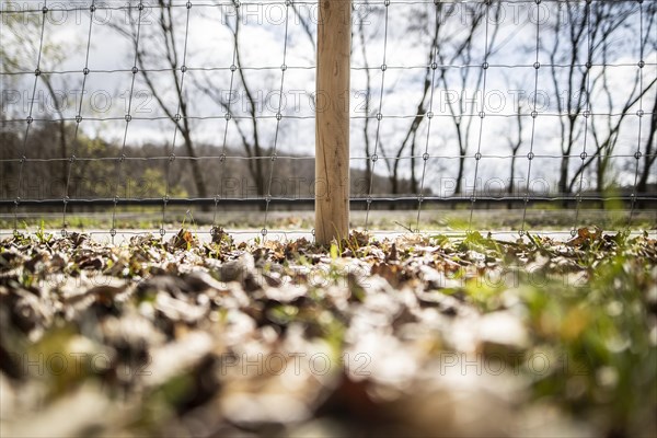 Protective fence against the spread of African swine fever