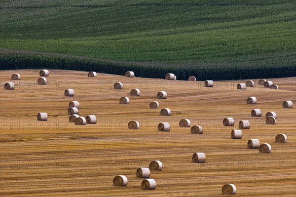 Aerial view of wheat and maize fields in Pfaffendorf in Saxony