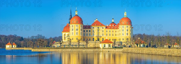 Exterior view of Moritzburg Castle in winter with half-frozen castle pond from the south