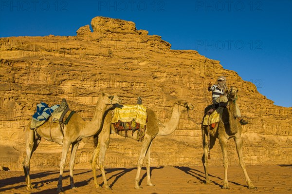 Bedouins with camels in desert