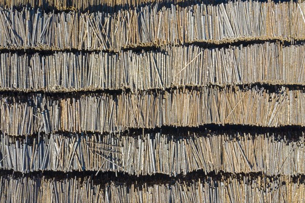 Aerial view over stacked tree trunks