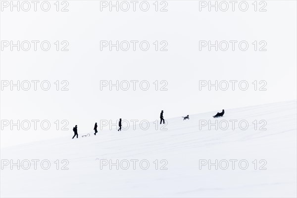 People on a toboggan slope in Koenigshain