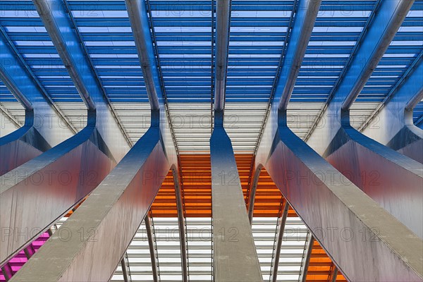 Colourful roof construction