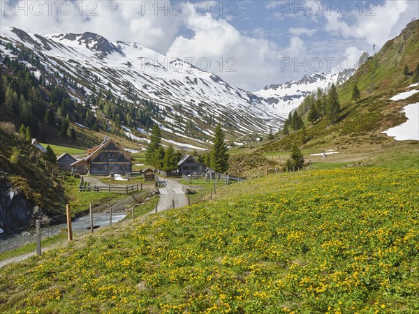 Zauneralm in front of snow-covered mountains