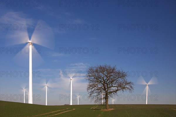 Solitary tree in between spinning wind turbines at windfarm in field