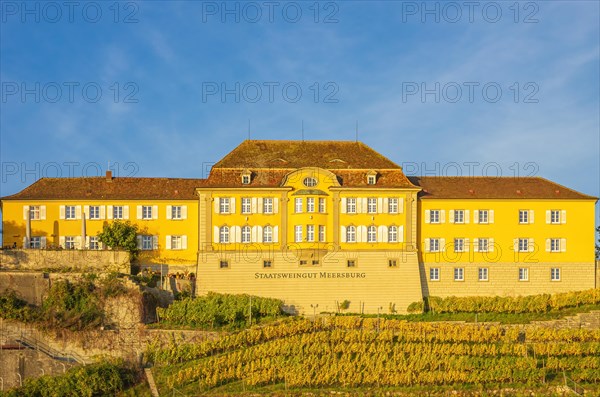 Meersburg State Winery on Lake Constance