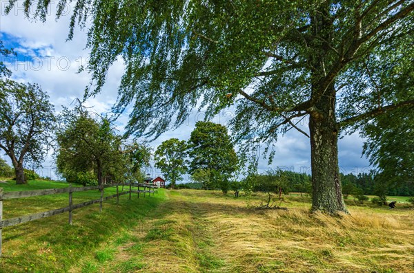 Picturesque landscape and rural surroundings in Tisselskog Nature Reserve near Bengtsfors