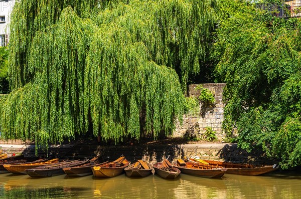 Punting barges