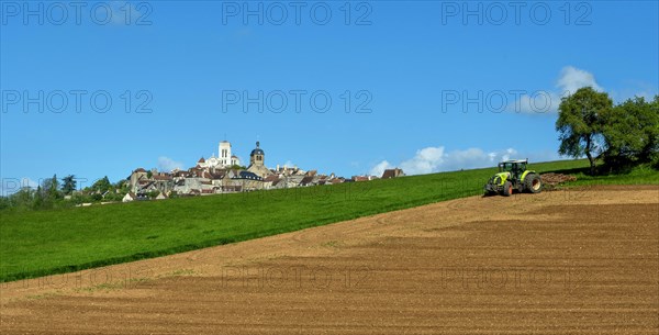 Vezelay labelled les Plus Beaux Villages de France. Unesco World heritage. Morvan regional natural park. Via Lemovicensis way to Santiago de Compostela. Yonne department. Bourgogne Franche Comte. France