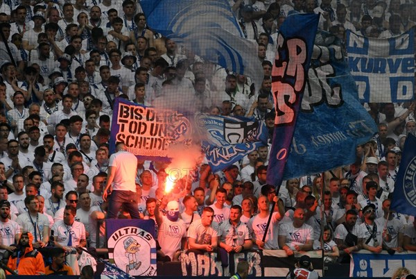 Veltins Arena Gelsenkirchen