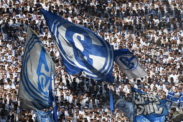 Veltins Arena Gelsenkirchen