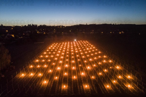 Fires loom on the vineyard of Wackerbarth Castle in Weinboehla