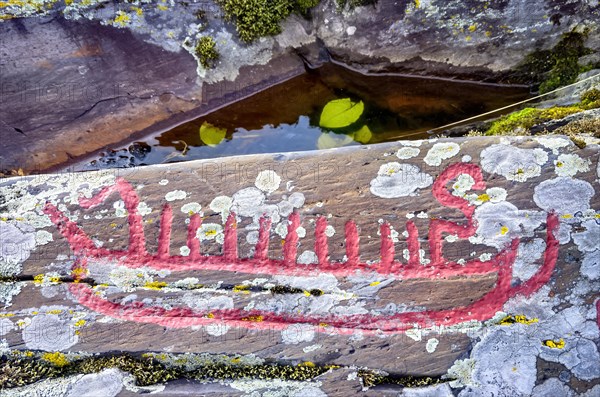 Partial section of the Bronze Age rock carvings