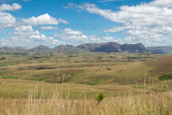 Landscape in the rainy season