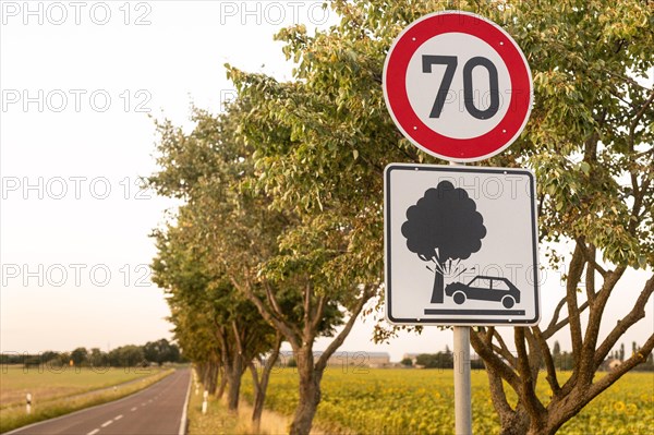 Danger of accidents on the country road