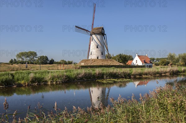 The Schellemolen