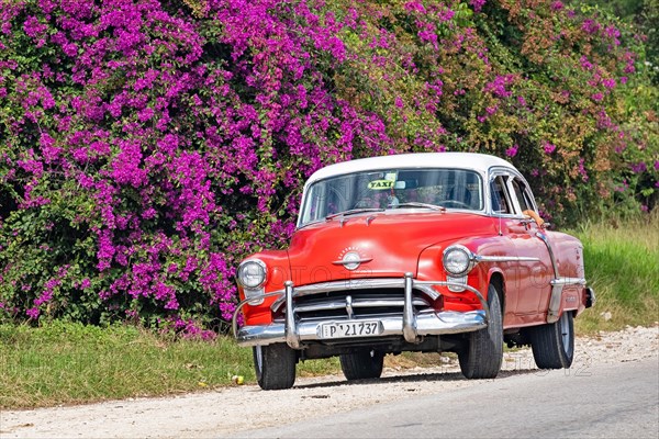 Red 1950s Oldsmobile 88 American classic car used as Cuban taxi