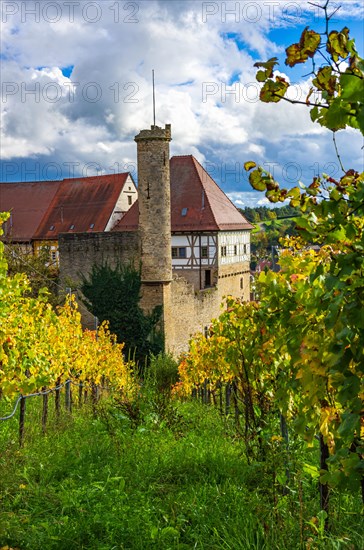 Surrounded by vineyards