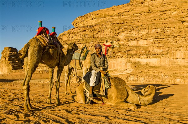 Friendly Bedouin with his camels
