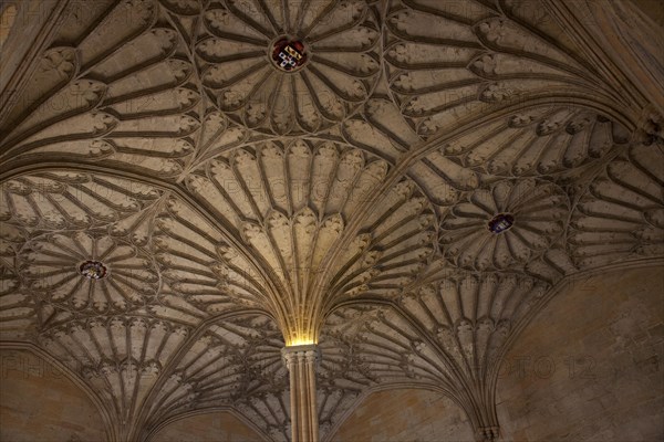 Rib-vault ceiling of entrance to the Great Hall of Christ Church College of the Oxford University