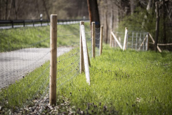 Protective fence against the spread of African swine fever